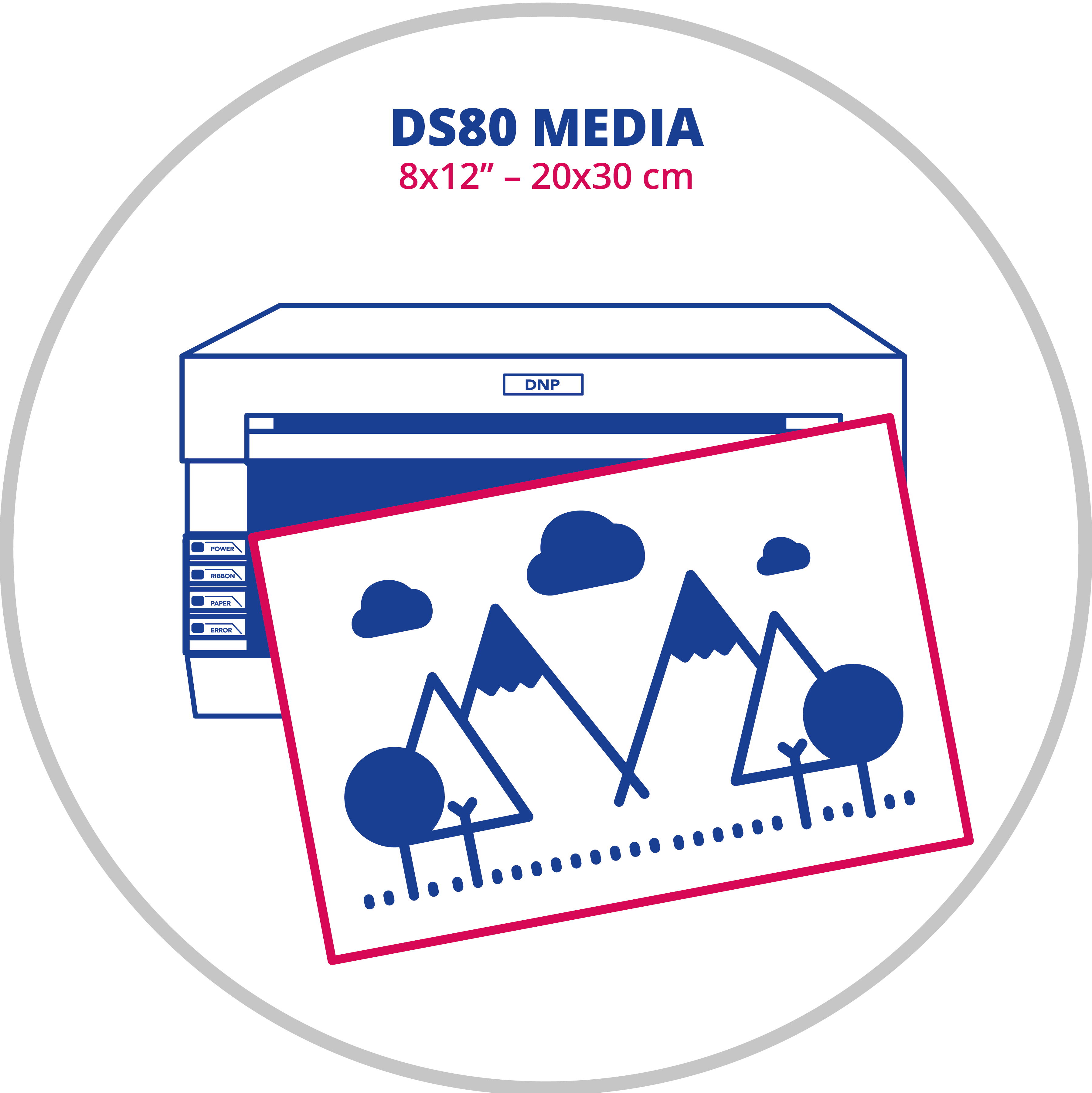 DS80 8x12 - 20X30